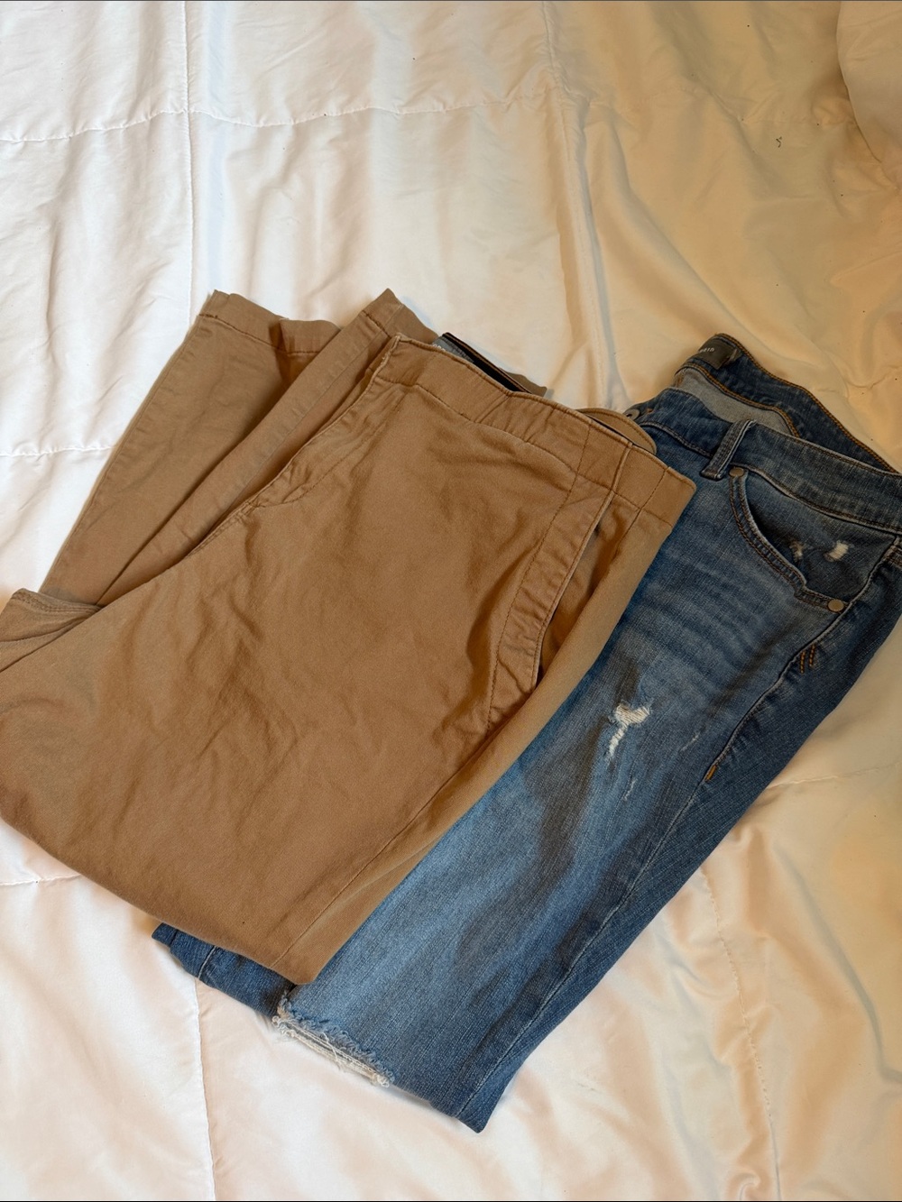 Torrid Cropped Set Jeans and Chinos
